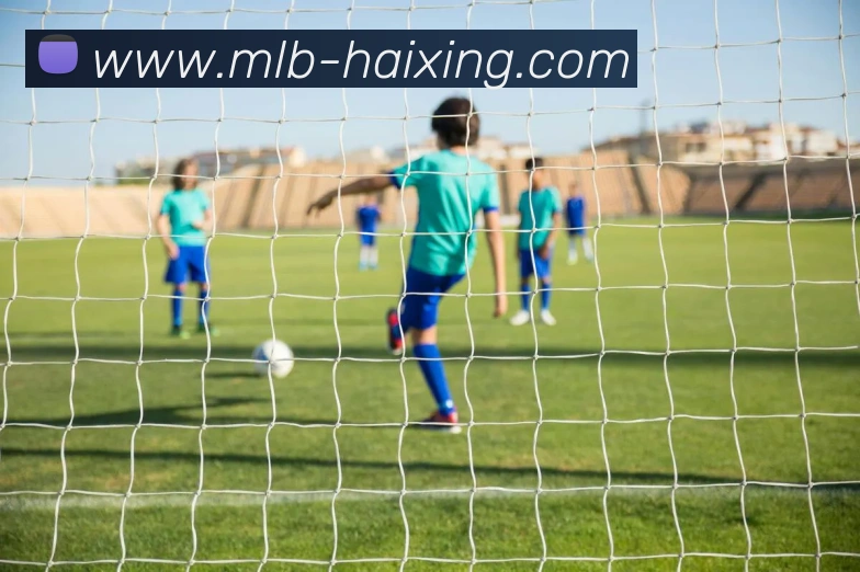 海星体育直播品牌故事