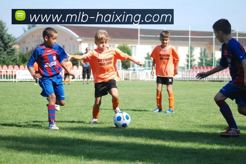 海星体育直播服务体系