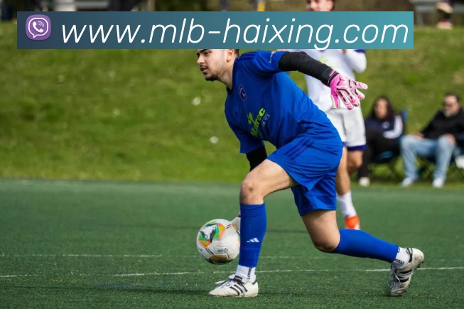 海星体育直播APP 体育赛事宣传图